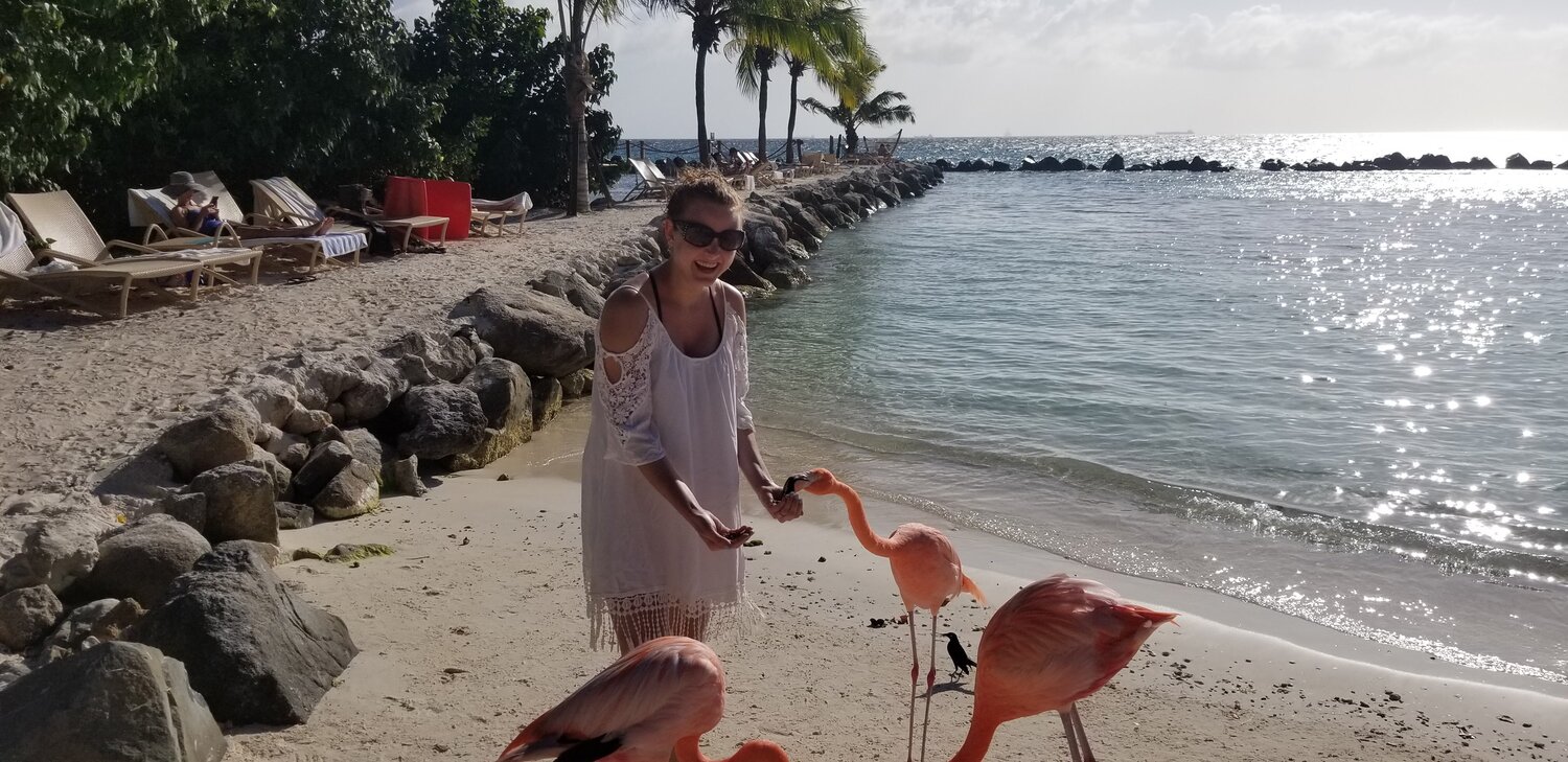 Magical 8-Day Honeymoon in Aruba — Wise Wanderings