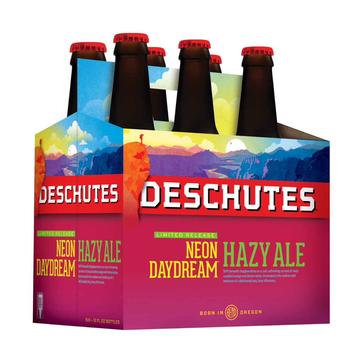 Deschutes Neon Daydream Hazy Ale 6-pack