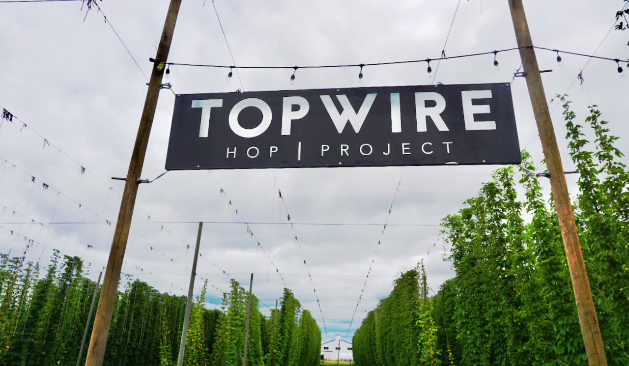 TopWire Hop Project banner
