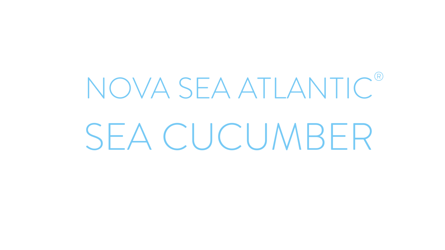 Nova Sea Atlantic