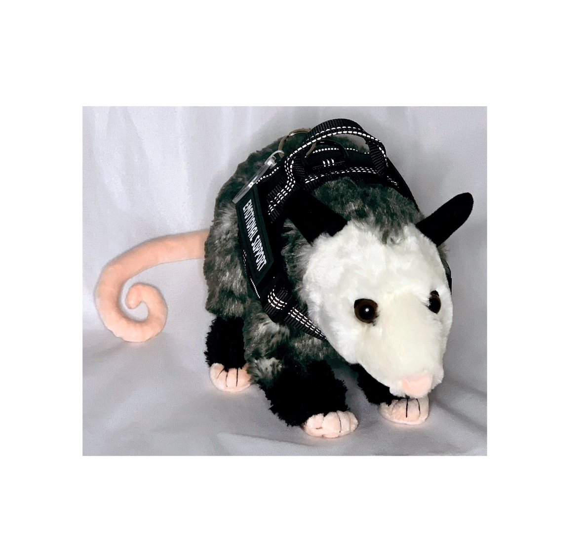 Emotional Support Opossum — CritterVision