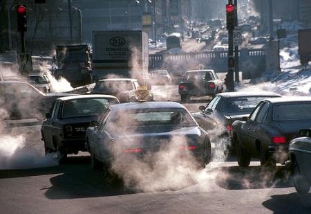 Los árboles pueden compensar el CO2 emitido por los coches?