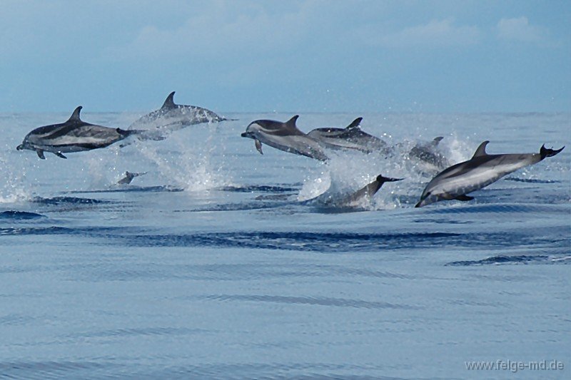 8 de Junio Día Mundial de los Océanos
