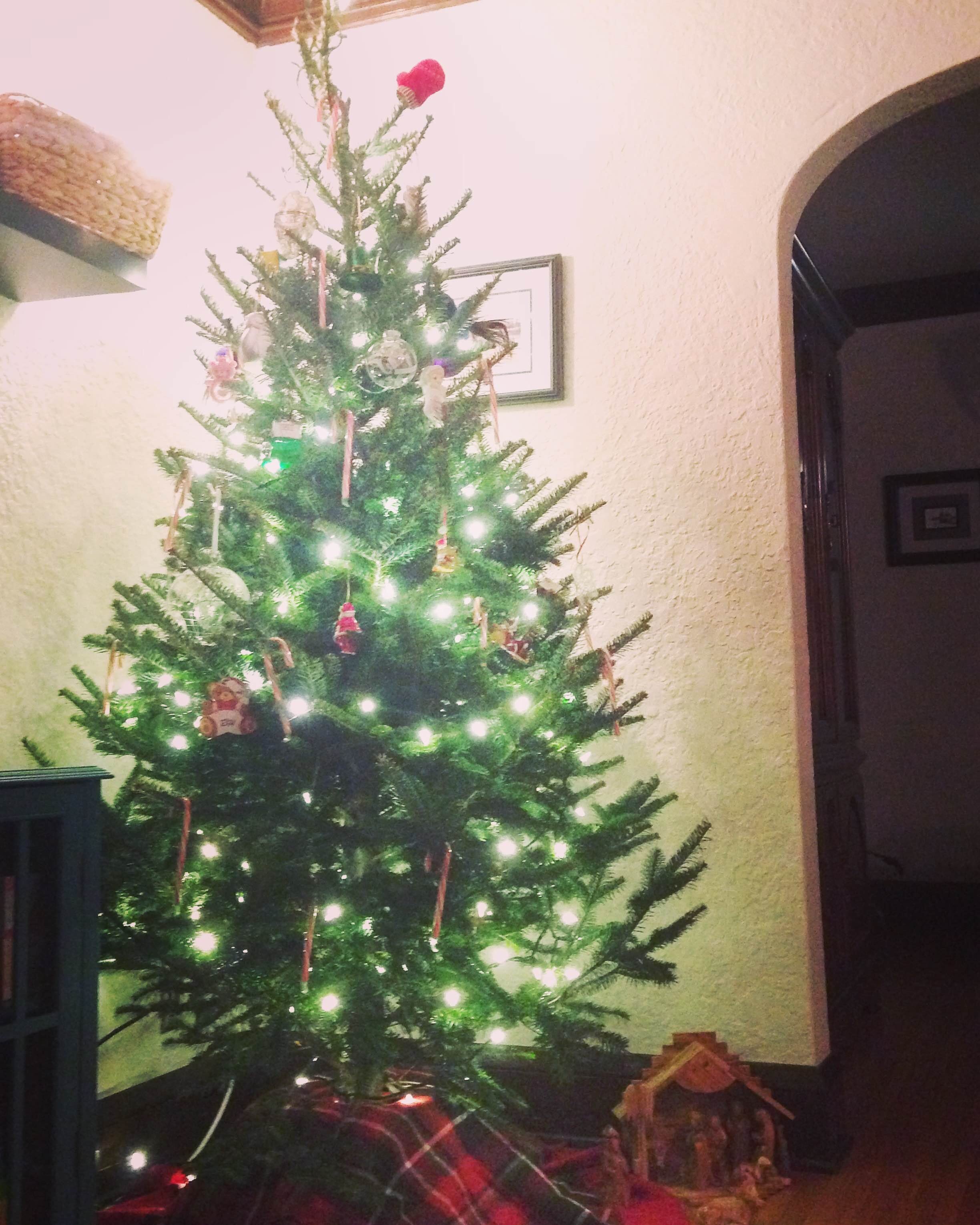 christmas-tree-soft-white-lights