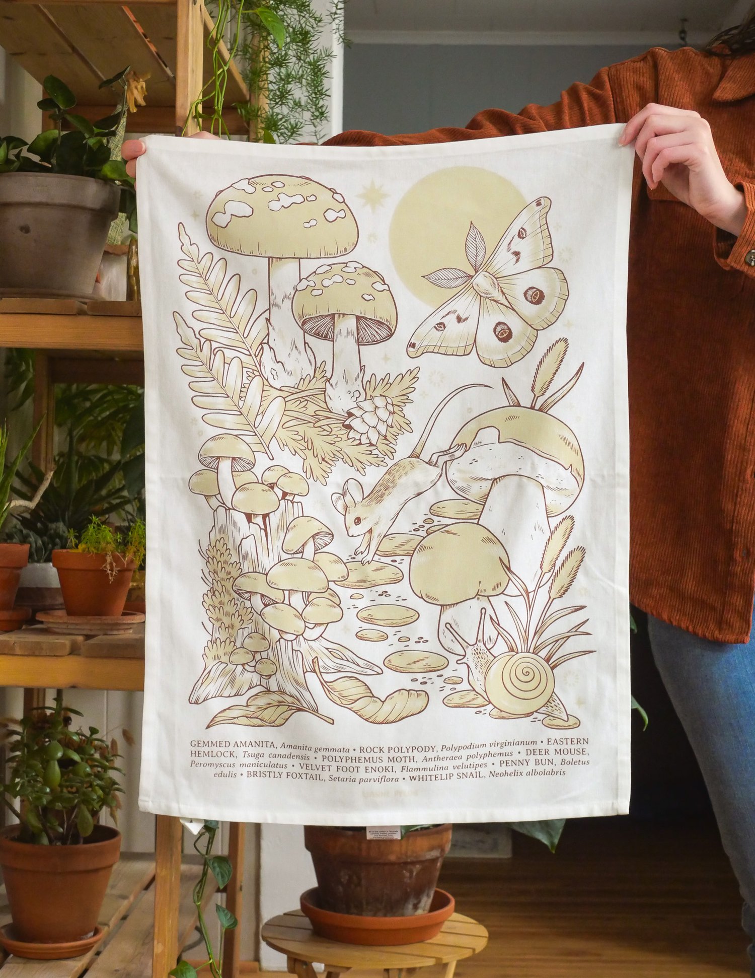 Mushroom Foragers Tea Towel — Lianne Pflug