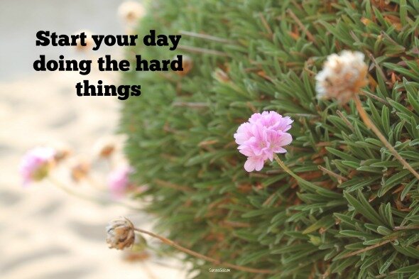 Start your day doing the hard things.