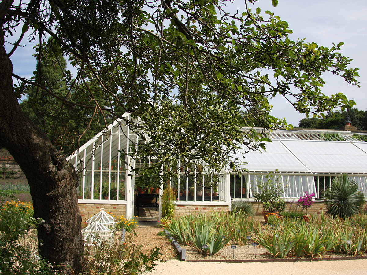 Myddelton House Gardens - GlassHouse