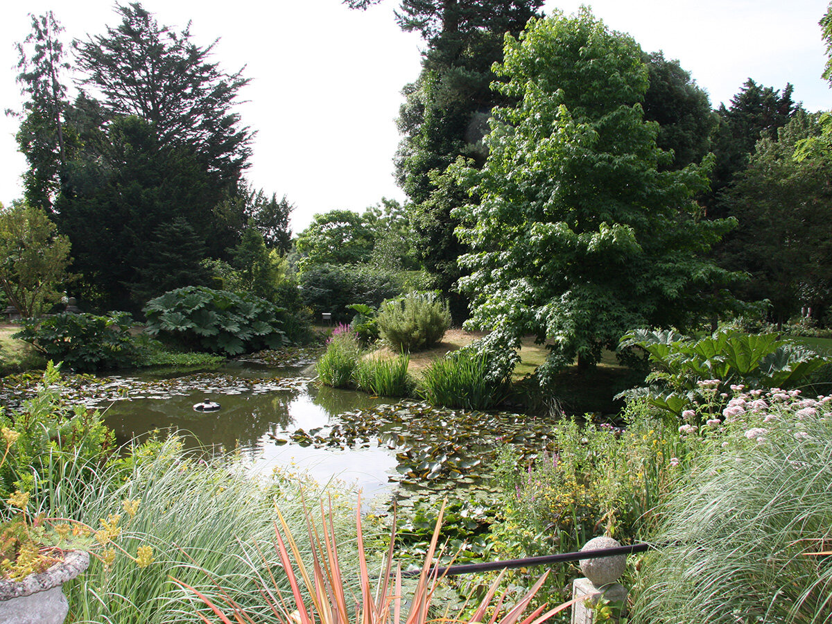 Myddelton House Gardens - Pond