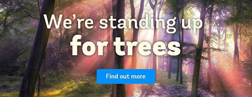 stand up for those trees