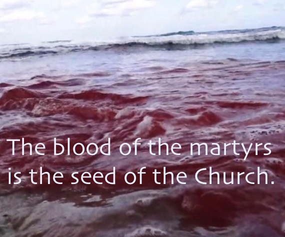 Blood of the martyrs