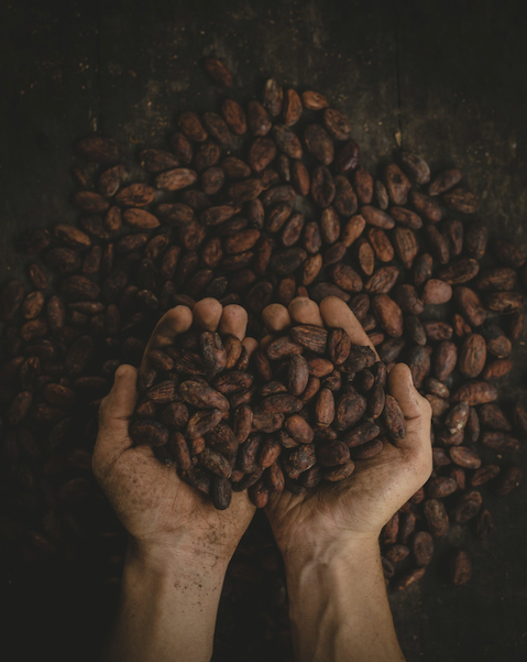 10 Health Benefits of Cacao — Soma Cacao Australia
