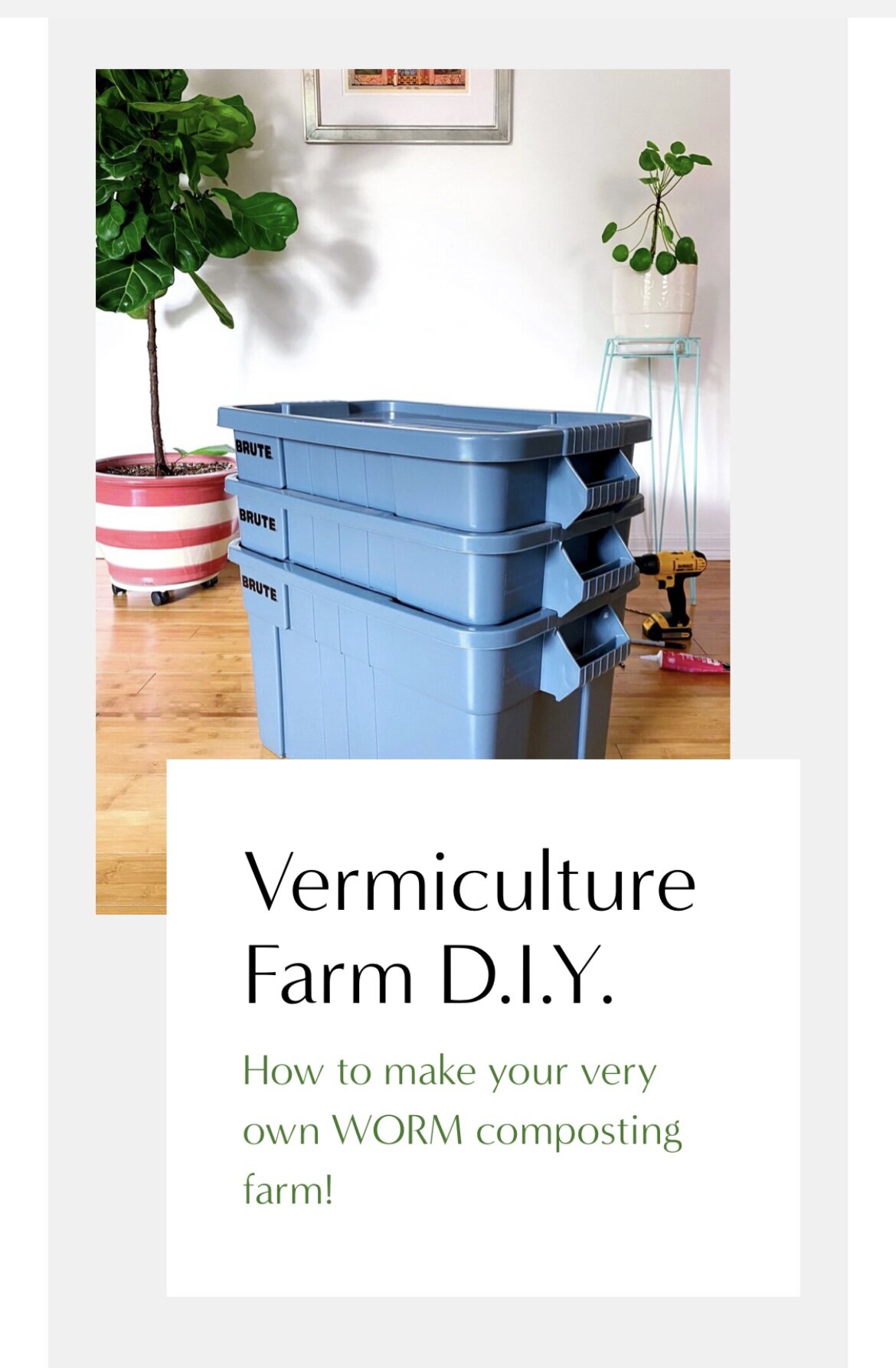Vermiculture Worm Compost Farm D.I.Y. — Midsommar Gardens