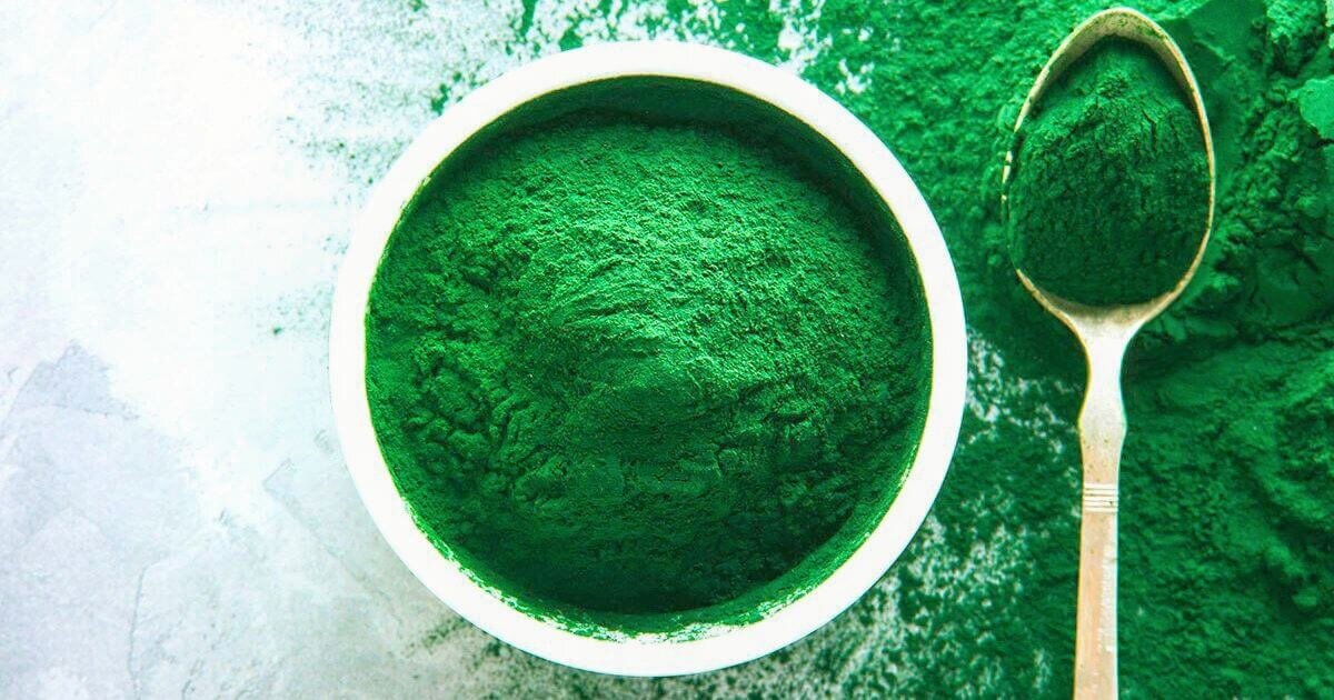 Spirulina For Dogs — Whoa Nelly! Raw Dog Food