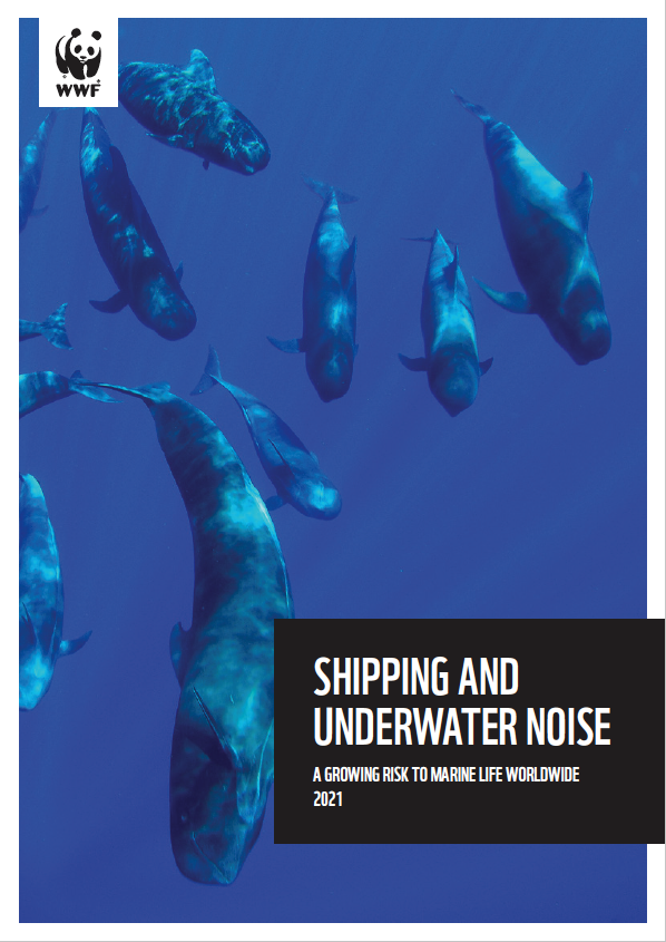 Shipping and Underwater Noise - A growing risk to marine life worldwide. A  WWF Report — WWF Protecting Whales & Dolphins Initiative
