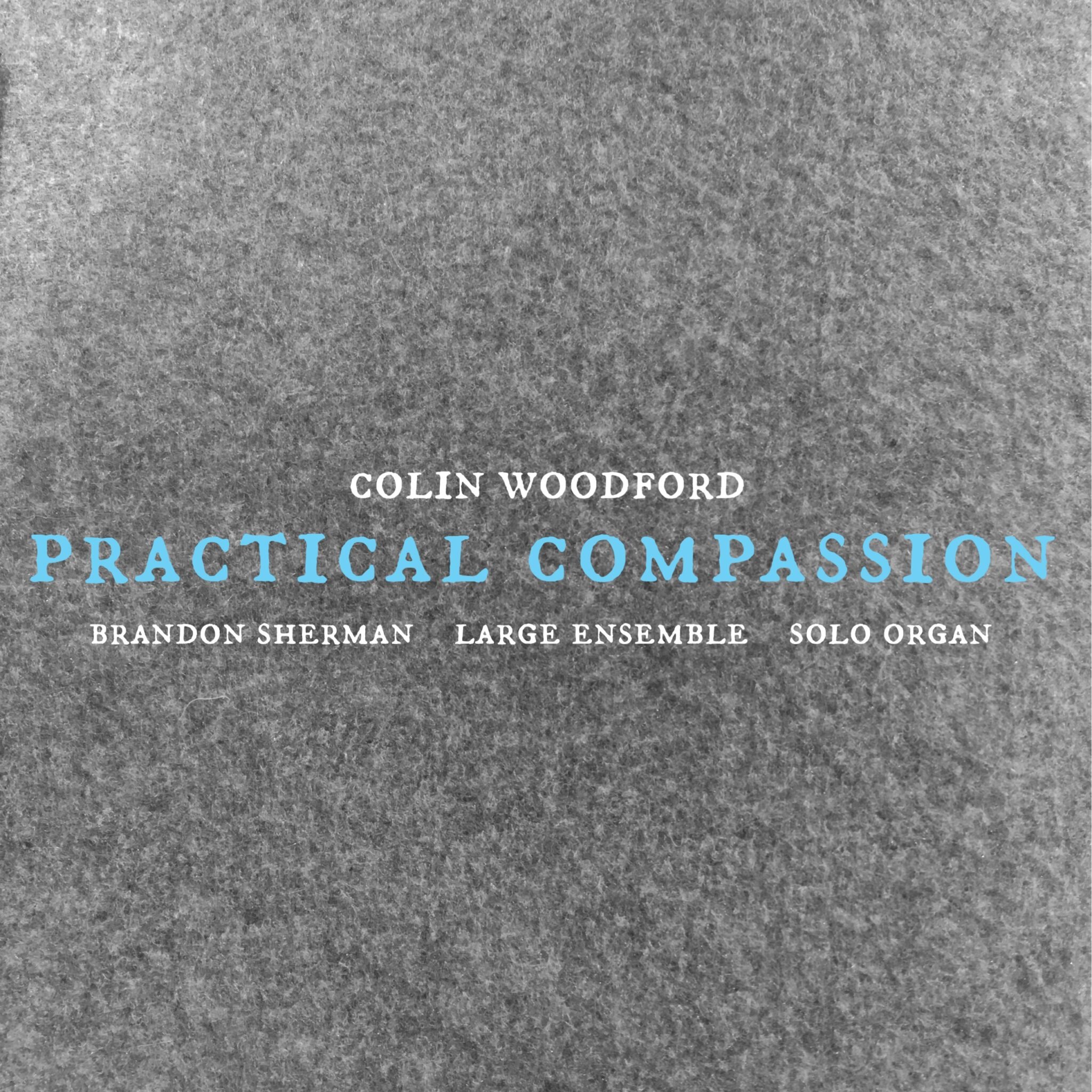 practical-compassion-final-rev