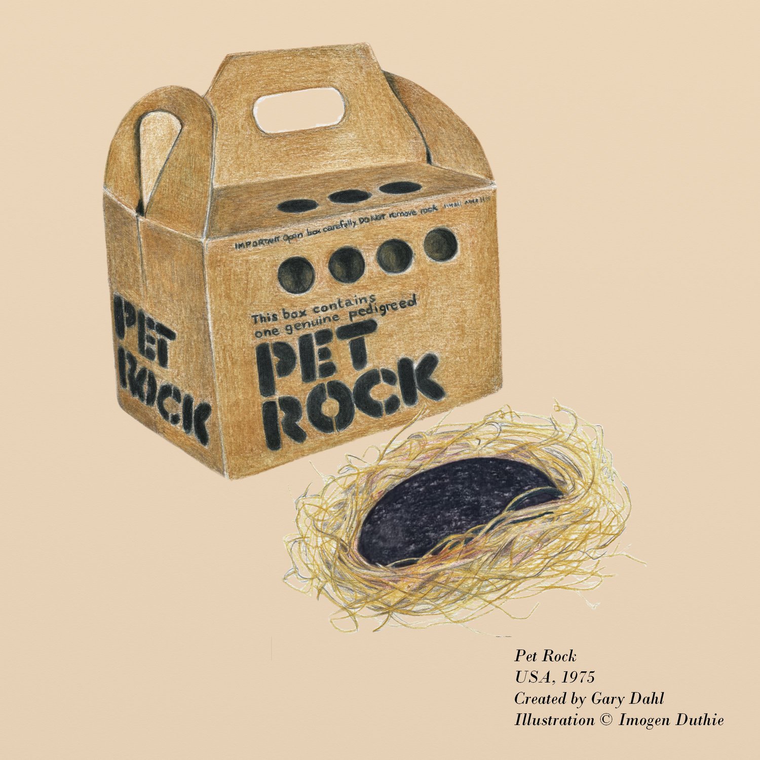 46. Pet Rock — Portrait of a Plaything