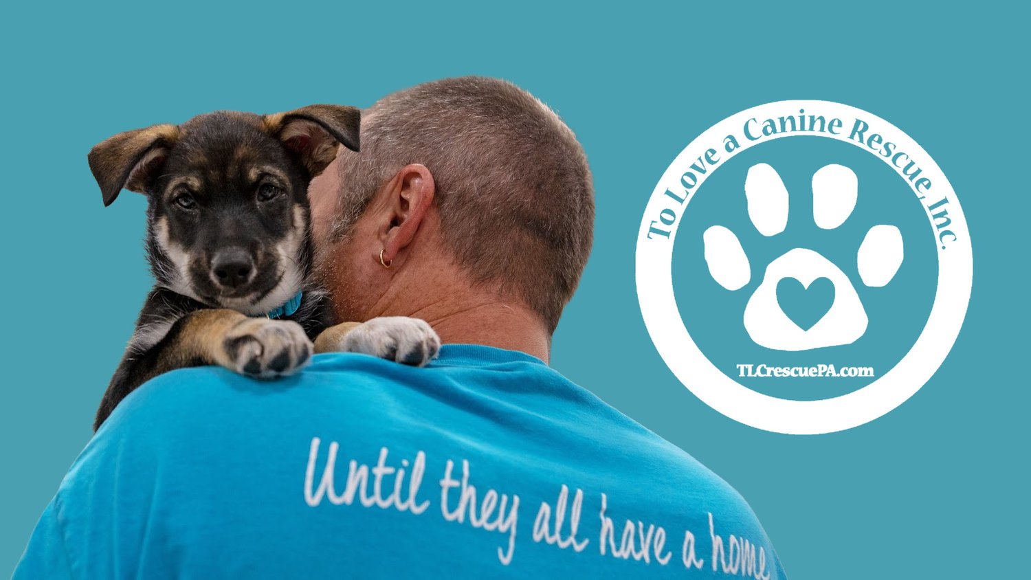 To Love a Canine Rescue, Inc.