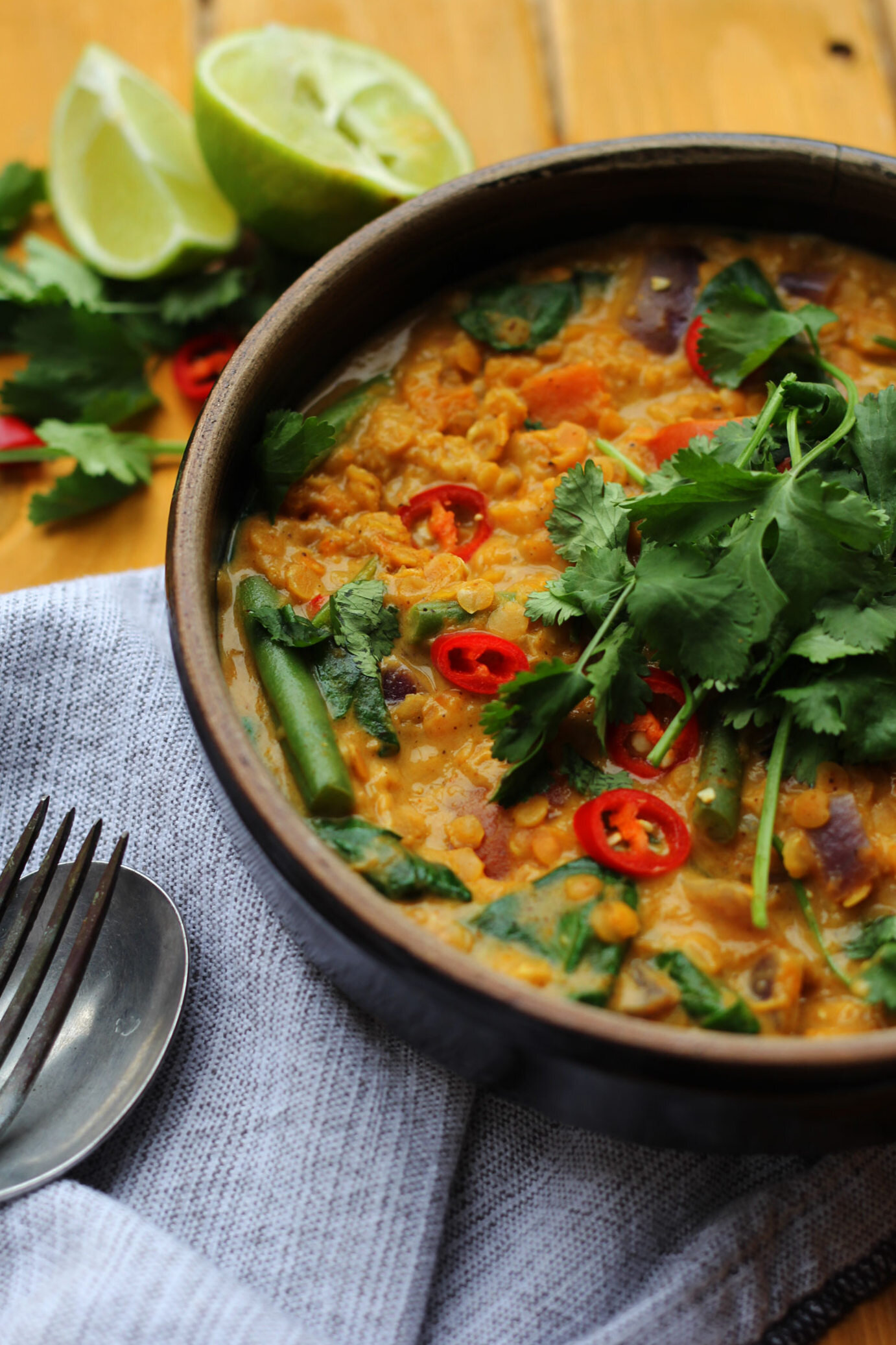 Vegan Roasted Butterut Squash and Red Lentil Curry | The Mother Cooker