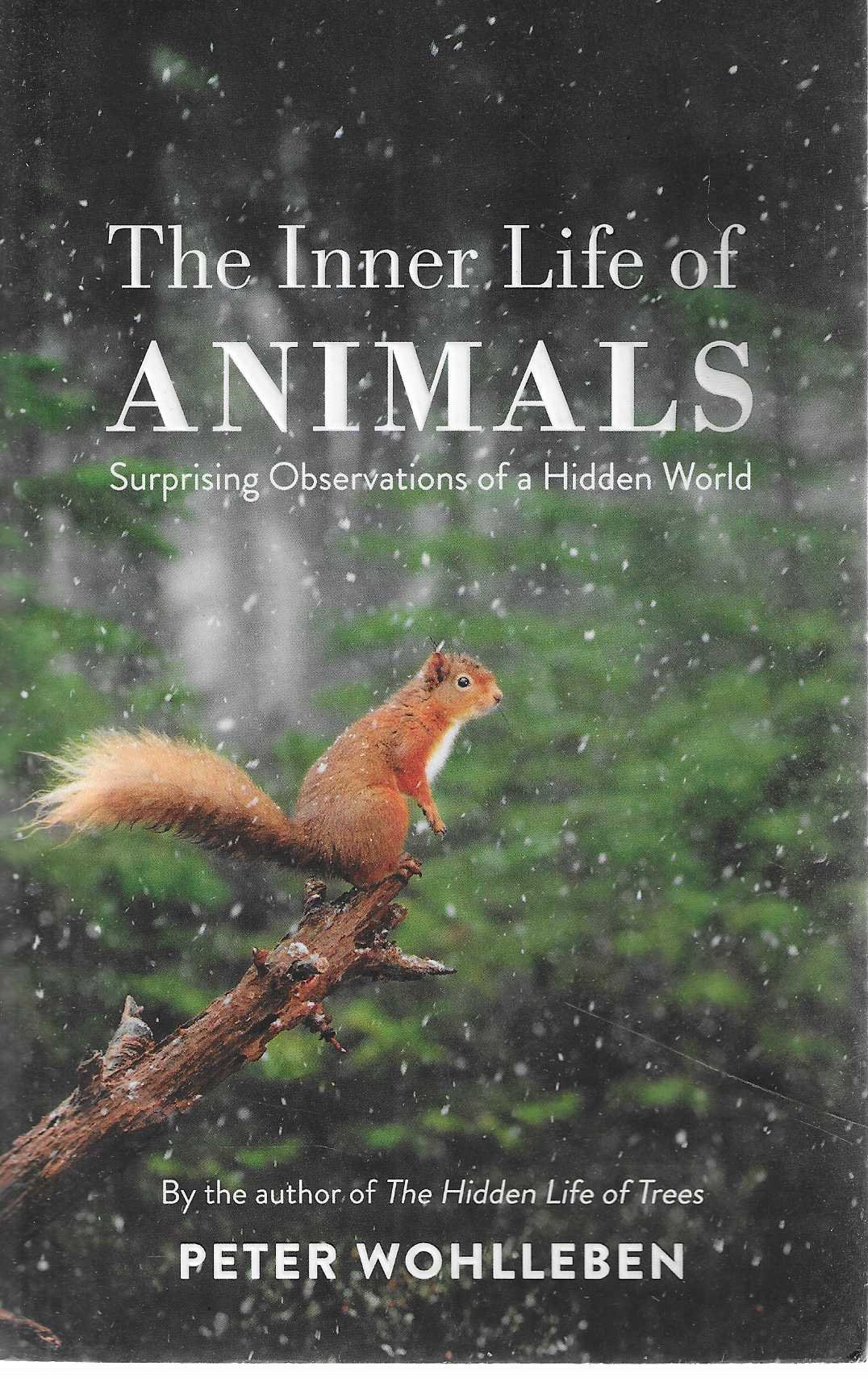 The Inner Life of Animals — London Court Books