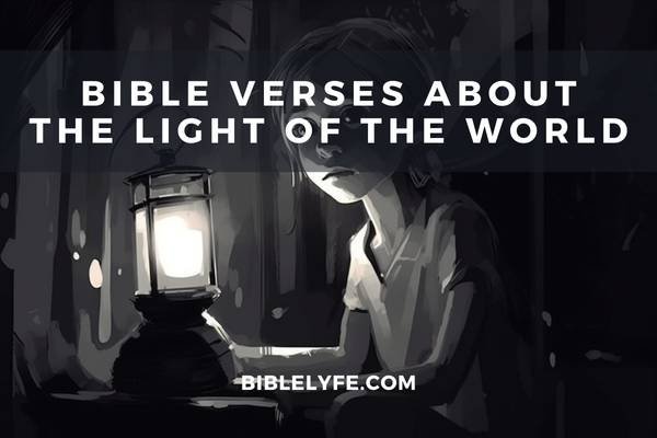 27 About The Light Of World — Bible Lyfe