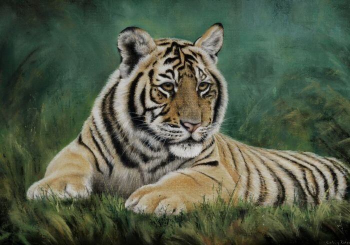 Tiger Cub Painted using Pastel Pencils