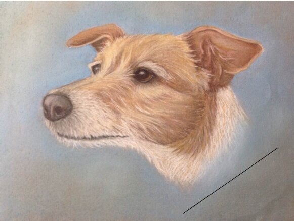 jack russell pastel pencil picture feedback