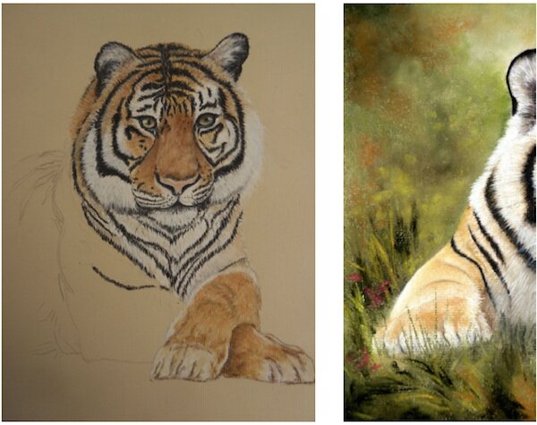 pastel pencil tiger cub picture wendy Nethercot