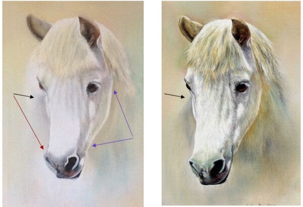Juliette's white horse in pastel pencils feedback