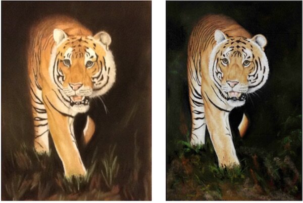 prowling tiger picture comparison
