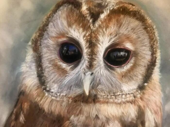 Rebecca Özkural Art - Owl Pastel Painting