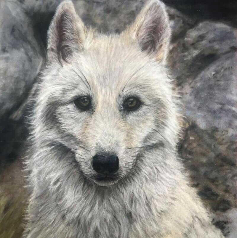 Rebecca Özkural Pastel Artist - Wolf Painting