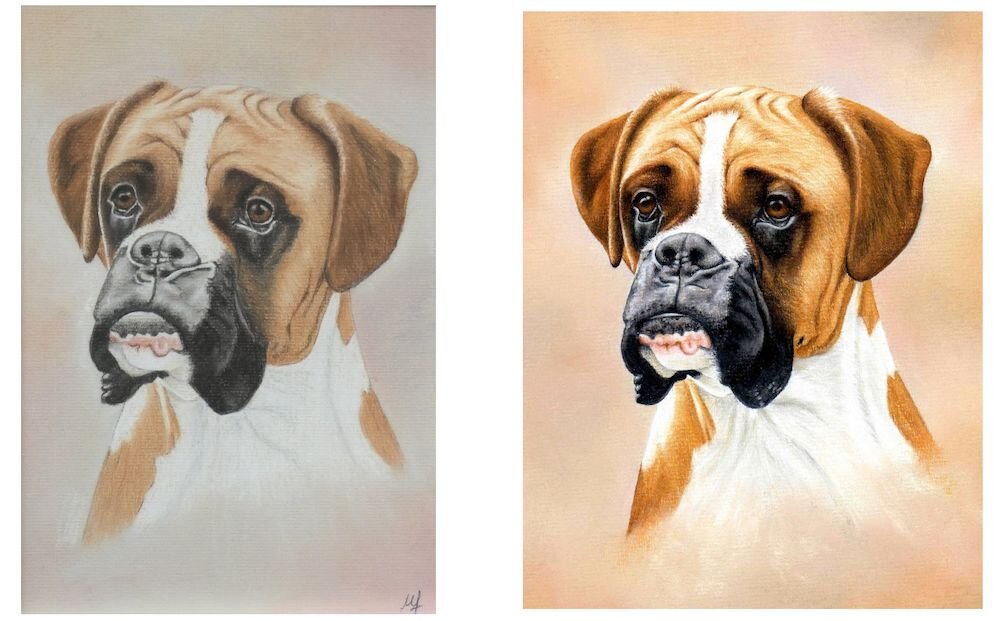 Advice on Maria's Boxer Dog Pastel Pencil Picture - Shading Help — The  Colin Bradley School of Art