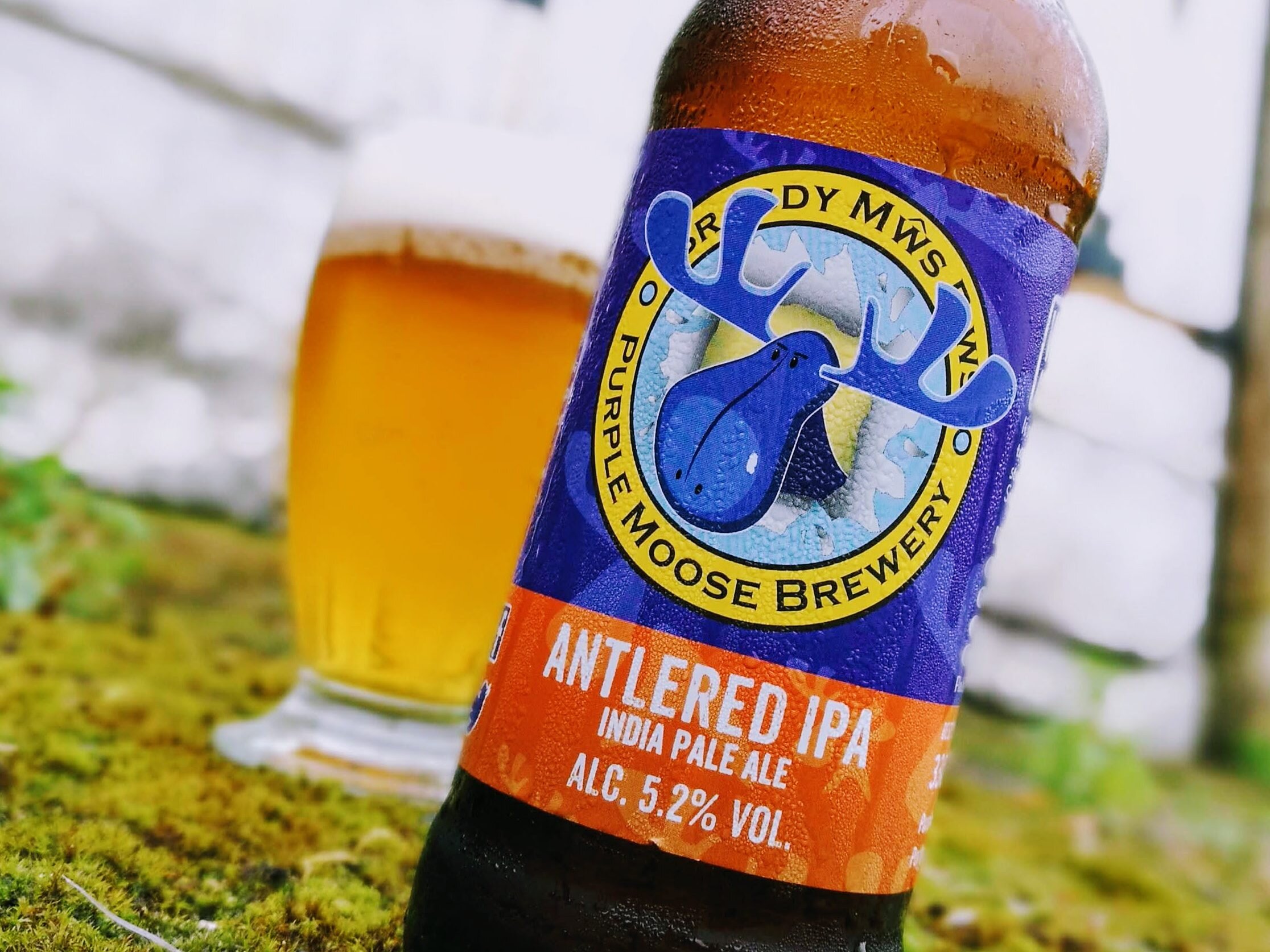Beer Yeti review on Antlered IPA from Purple Moose brewery, top blog