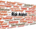 Risk Analyst