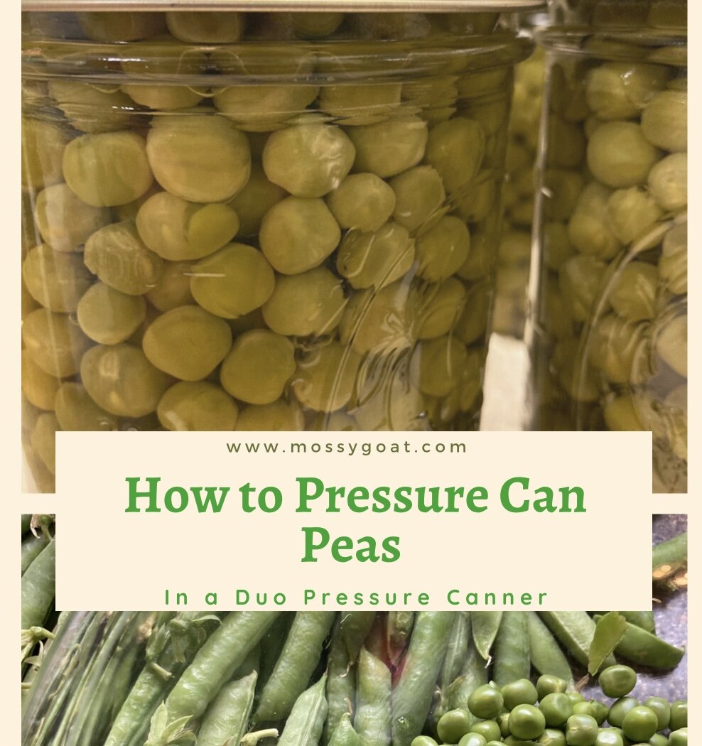 How to Pressure Can Peas in a Duo Pressure Cooker/Canner. — Mossygoat Farm