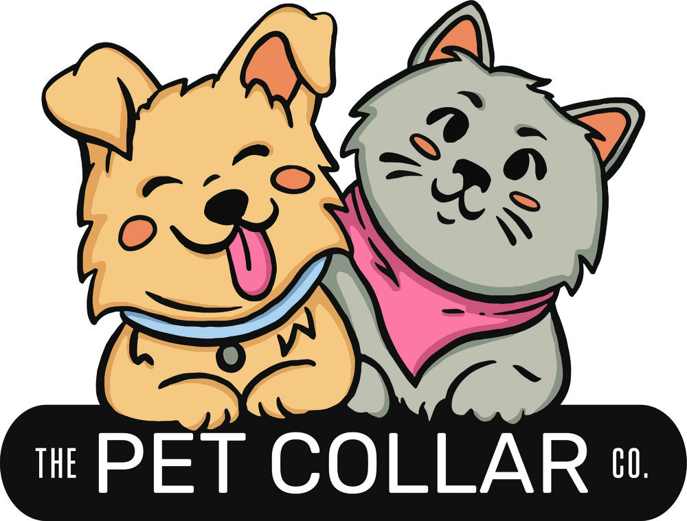 Summer Dog Bandana Cat Bandana Lemon Squeeze Over The Collar Dog Gift Snap On