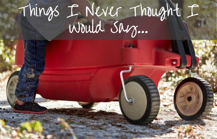 Things I Never Thought I Would Say Until I Had Kids...