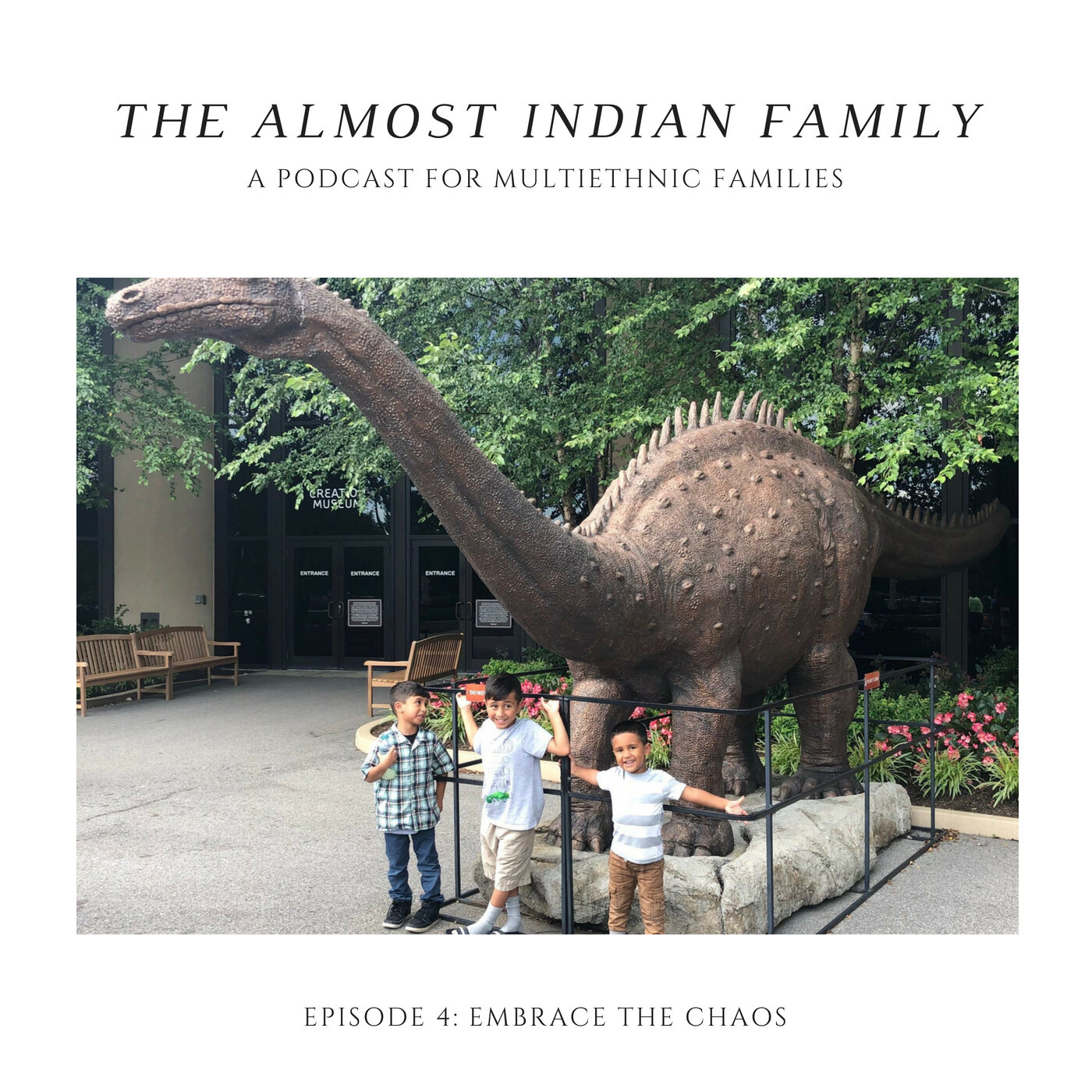 The Almost Indian Family Podcast