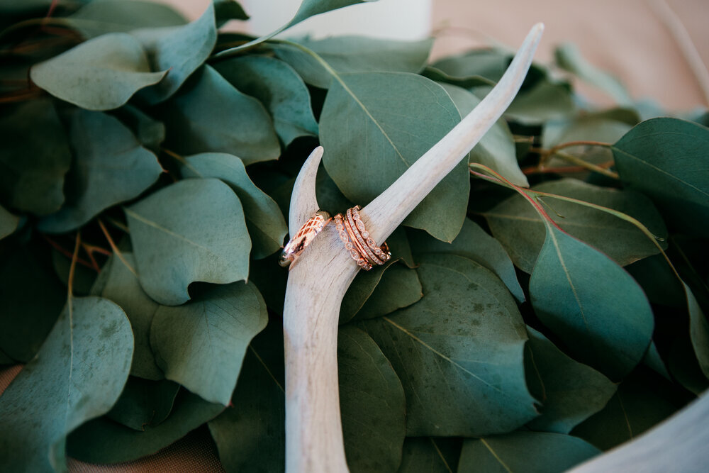  Detailed floral leaves behind antlers holding the bride and grooms wedding rings #tealawardphotography #texasweddings #amarillophotographer #amarilloweddingphotographer #emotionalphotography #intimateweddingphotography #weddingday #weddingphotos #texasphotographer #inspiredwedding #intimatewedding #weddingformals #bigday #portraits 