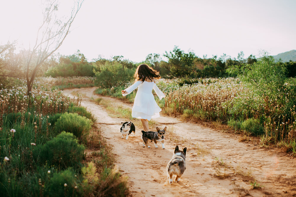  Running around with her sweet puppies in the middle of a wildflower field #tealawardphotography #texasphotographer #amarillophotography #amarillophotographer #lifestylephotography #emotionalphotography #photoshoot #family #puppylove #purejoy #puppyphotos #lifestyleinteraction 