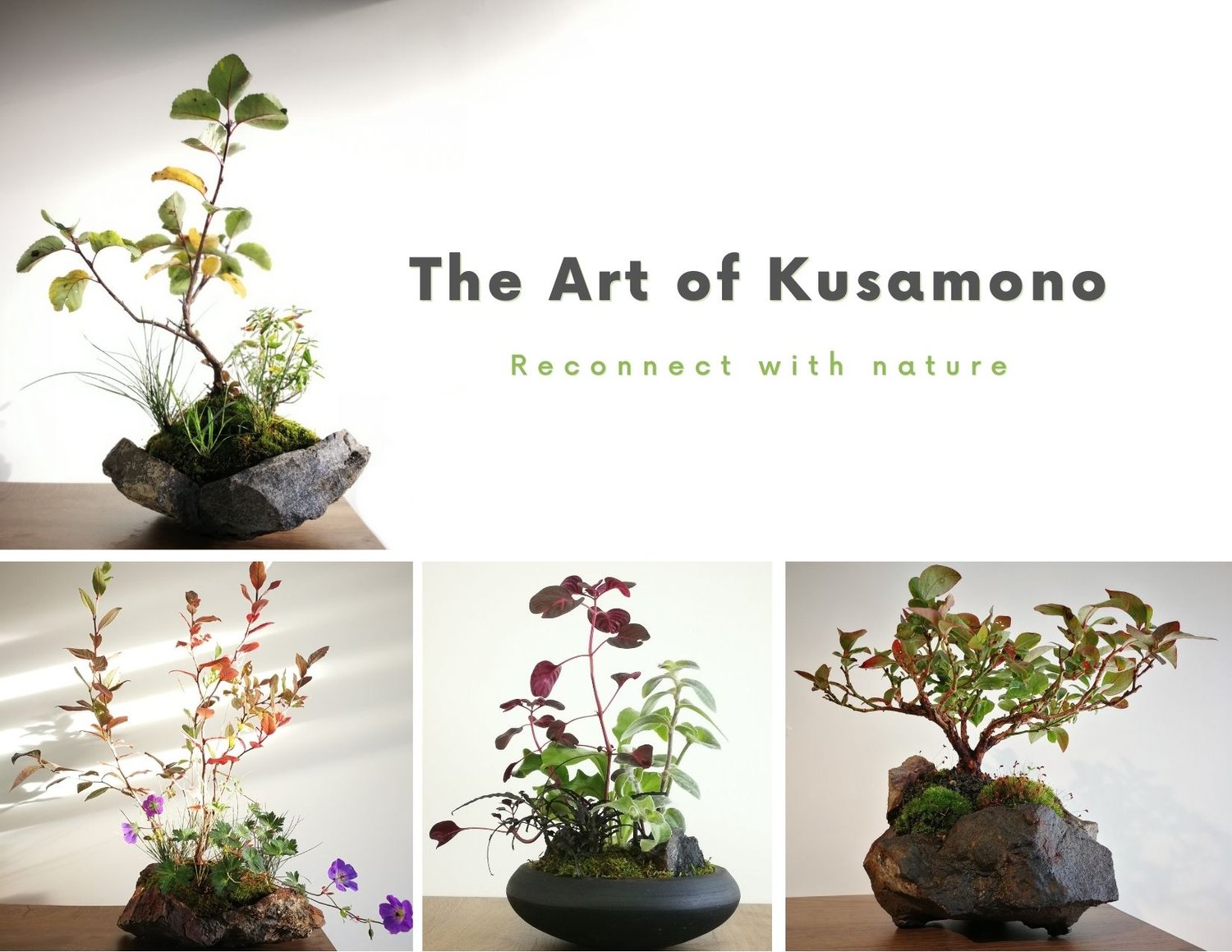 The Art of Kusamono 