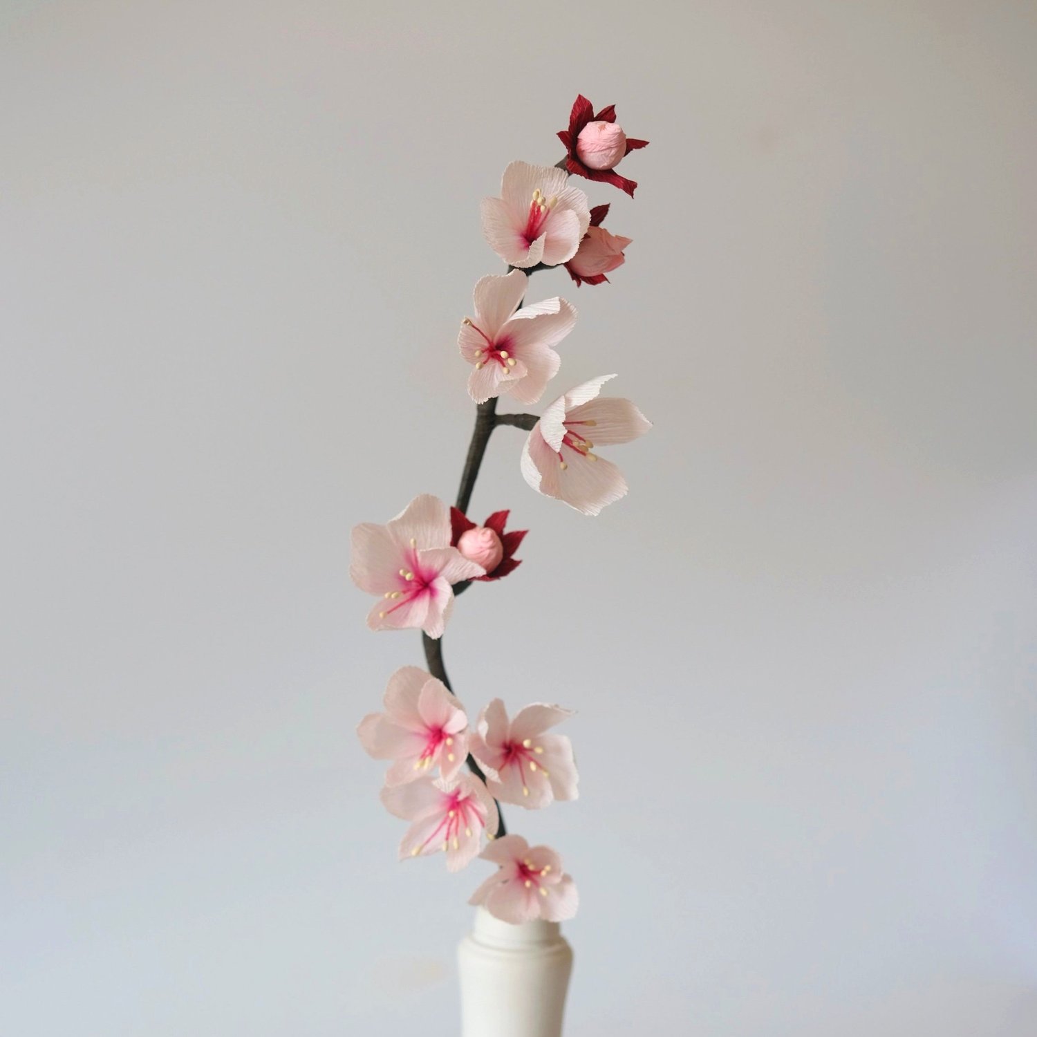 The Cherry Blossom Branch — Leo Flowers