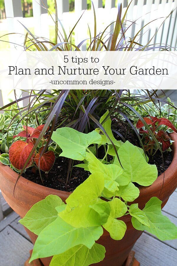 Be nice to your garden and nurture it as well!