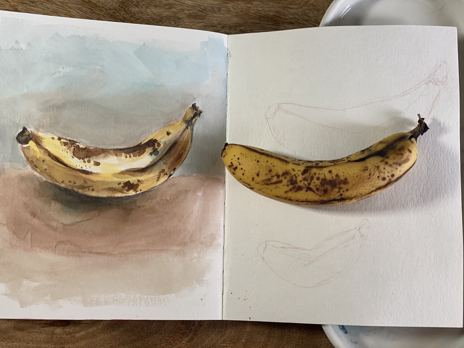 How to Paint a Simple Watercolor Banana Still Life — The Last Pigment  Watercolor Tutorials  Articles