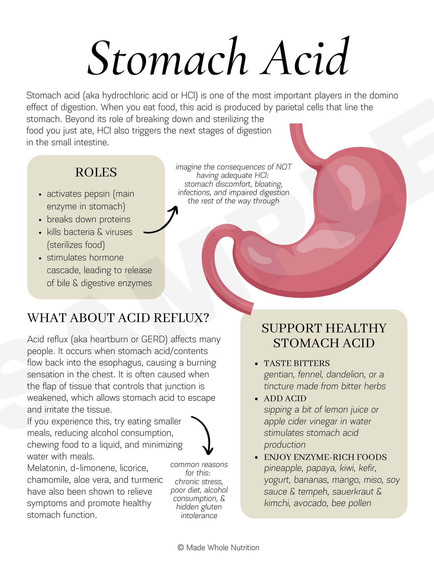 Stomach Acid Handout — Functional Health Research Resources — Made