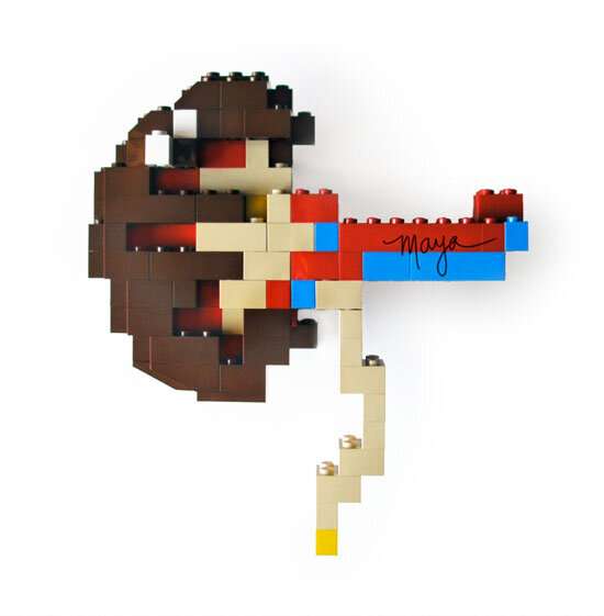 Maya Shoemaker Lego Kidney