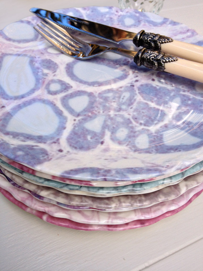 Emily Evans Histology dessert plates available at the Street Anatomy store