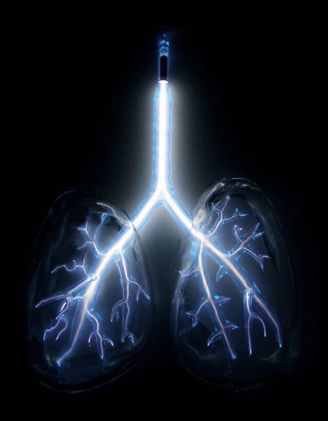 Jessica Lloyd-Jones Anatomical Neon lungs