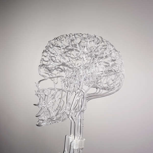 Gary Farlow Glass Anatomy brain