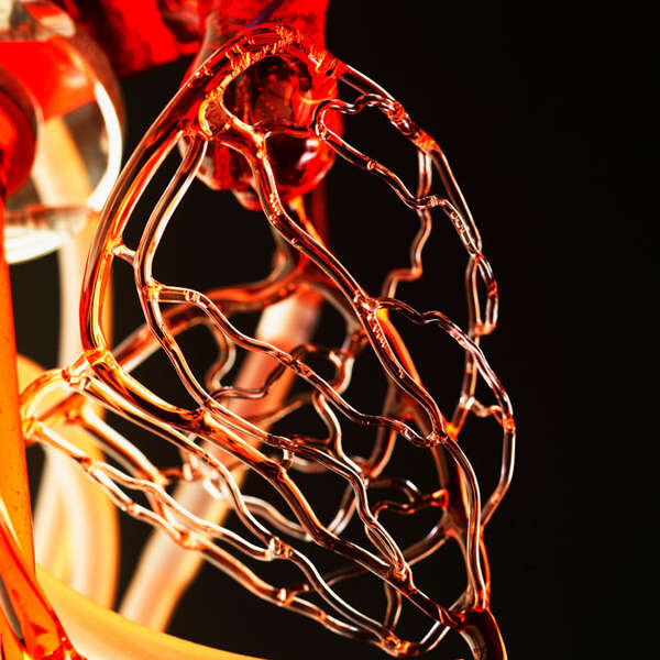 Gary Farlow Glass Anatomy heart